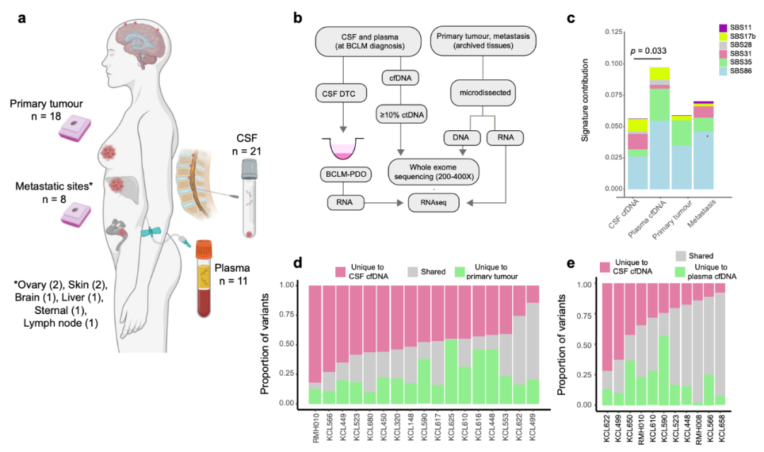 Nature子刊：患者來源的類器官，為乳腺癌腦轉移帶來新見解