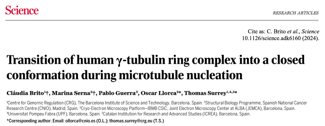 Science重磅：首次捕獲人類細胞“高速公路”構建過程的高分辨率圖像，為微管相關疾病的治療指明新的方向！