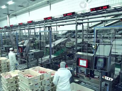 做好十萬級食品潔凈車間的裝修設計，以肉制品火腿腸車間為例 CEIDI西遞